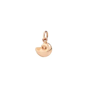 Shell - Rose Gold
