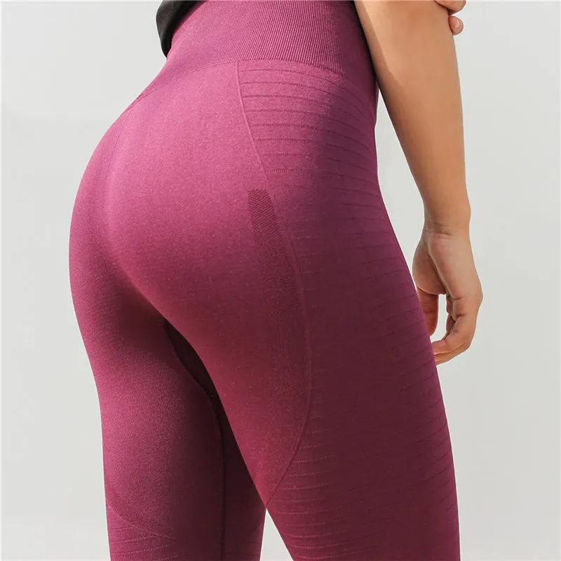 TRIM HIGH RISE EVERYDAY MESH LEGGINGS